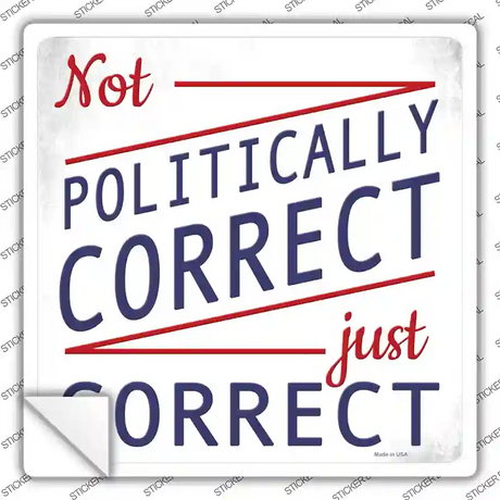 Not Politically Correct Just Correct Novelty Square Sticker Decal Small