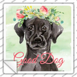 Black Lab Good Dog Novelty Square Sticker Decal Small