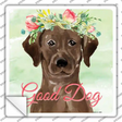 Brown Lab Good Dog Novelty Square Sticker Decal Small