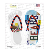 IL Flag|Bears Strip Art Novelty Flip Flops Sticker Decal Small