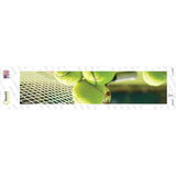 Tennis with Racket Novelty Narrow Sticker Decal
