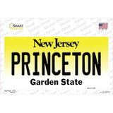 Princeton New Jersey Novelty Sticker Decal Small