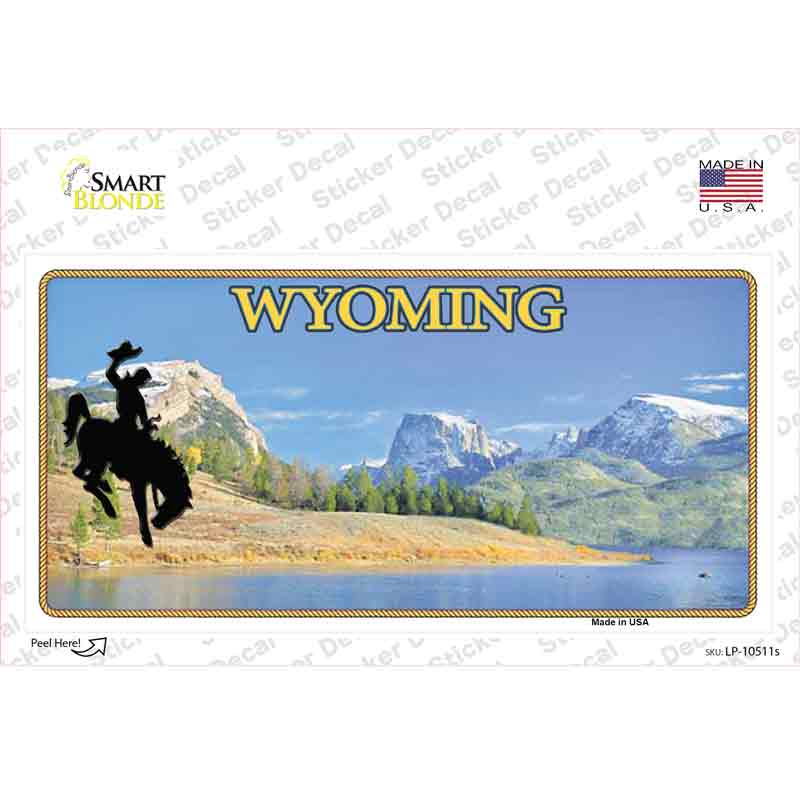 Wyoming Blank Novelty Sticker Decal Small