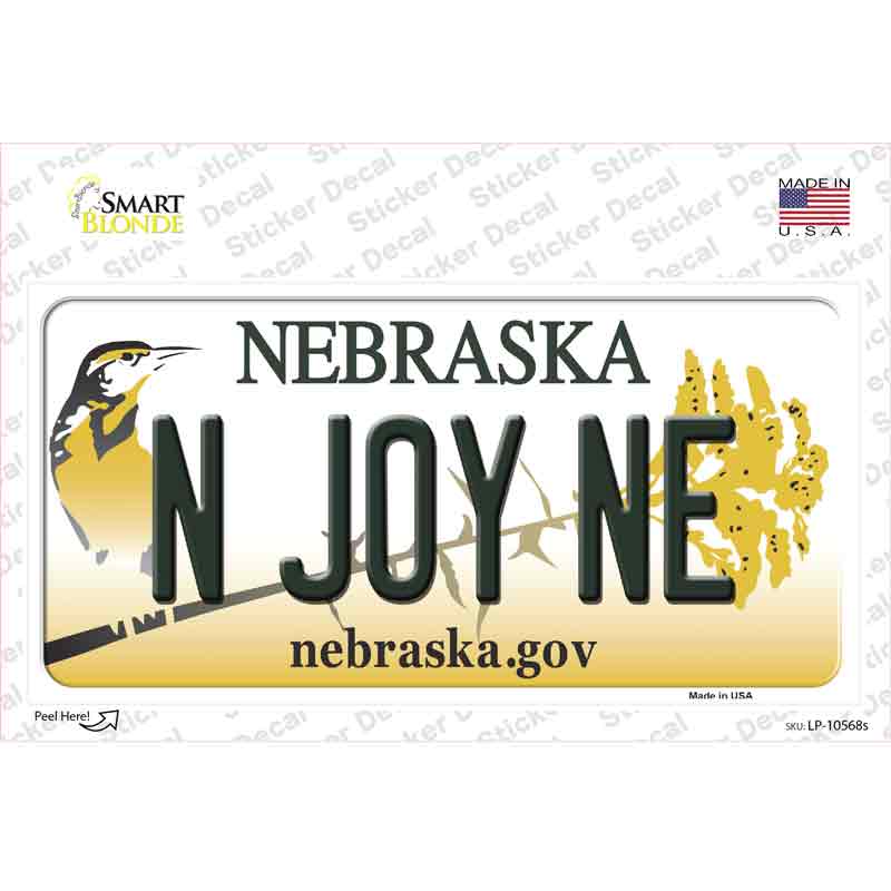 N Joy NE Nebraska Novelty Sticker Decal Small