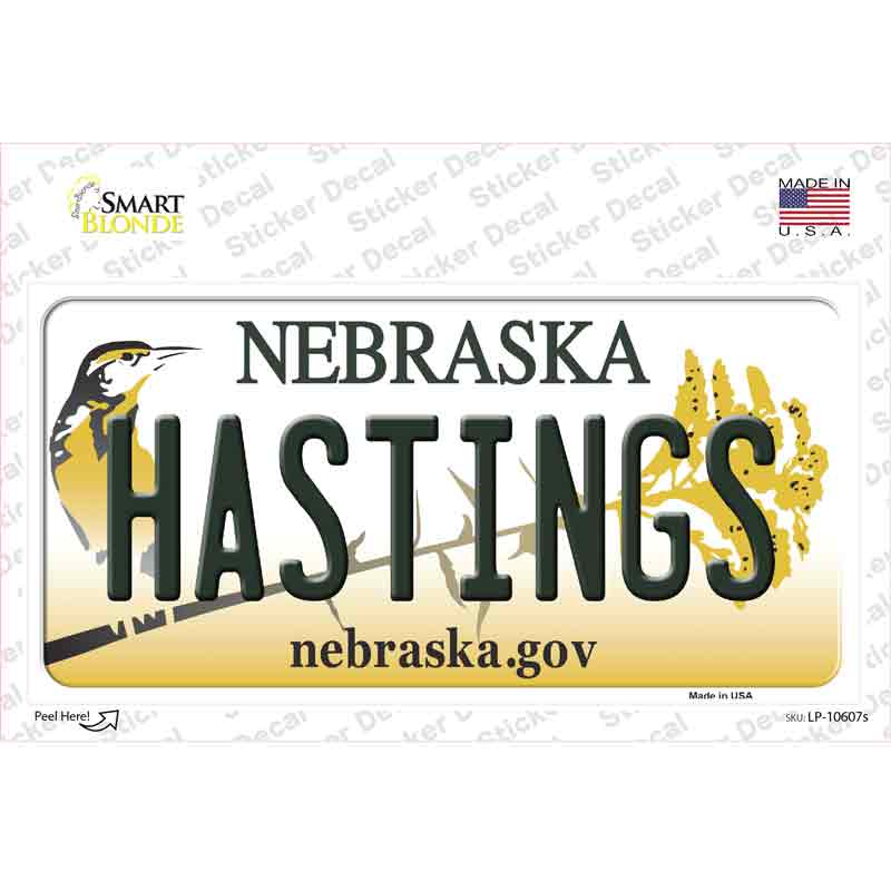 Hastings Nebraska Novelty Sticker Decal Small