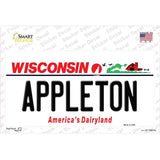 Appleton Wisconsin Novelty Sticker Decal Small