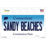 Sandy Beaches Connecticut Novelty Sticker Decal Small