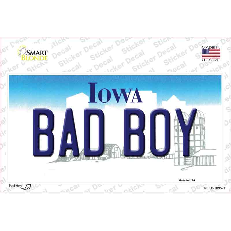 Bad Boy Iowa Novelty Sticker Decal Small