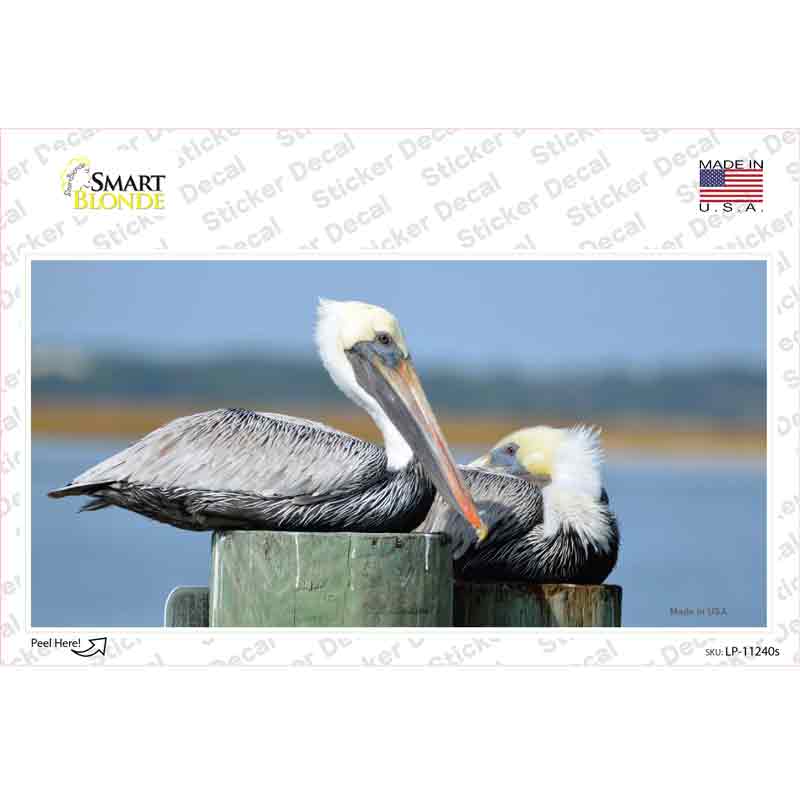 Pelican Two On Pier Novelty Sticker Decal Small