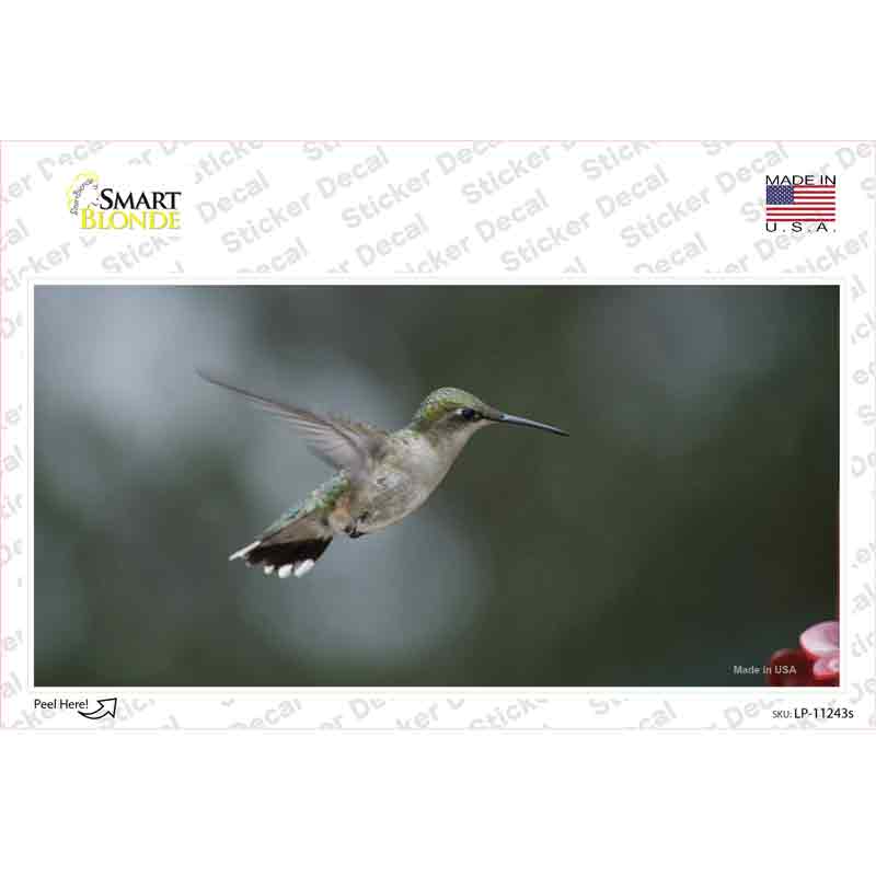 Hummingbird In Flight Novelty Sticker Decal Small