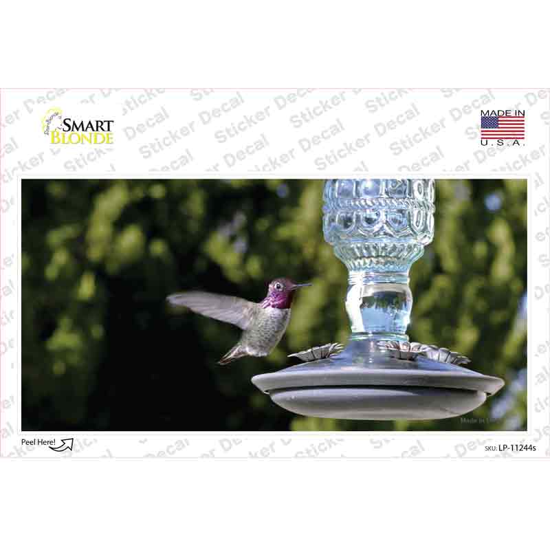 Hummingbird At Feeder Novelty Sticker Decal Small