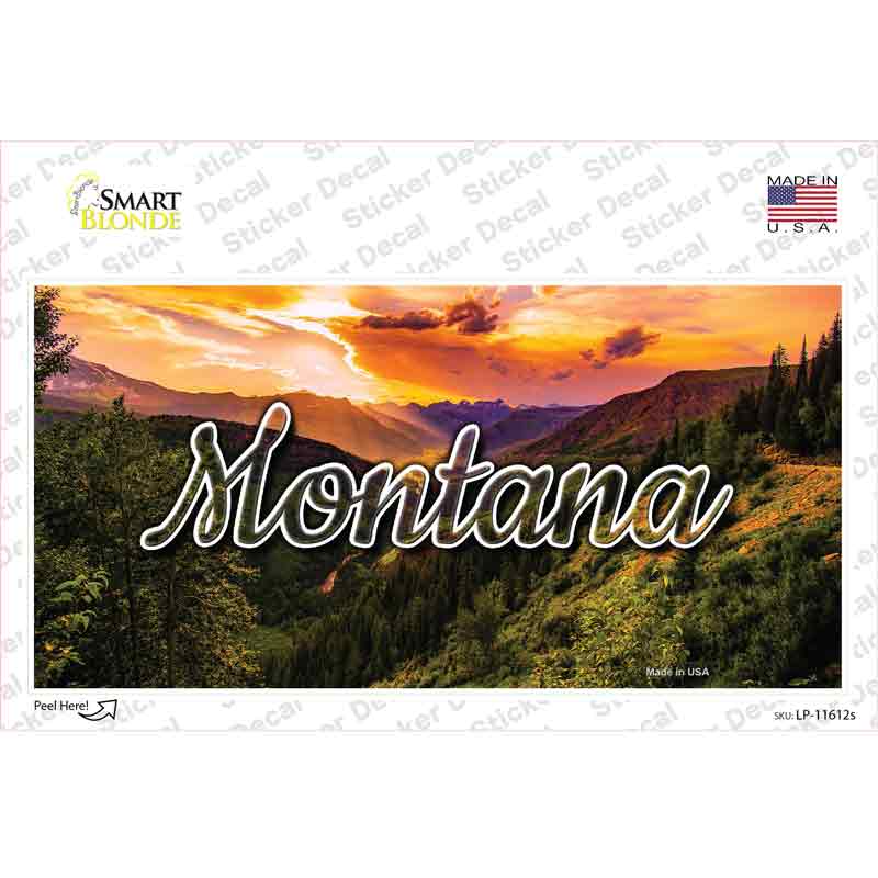 Montana Forest Sunset State Novelty Sticker Decal Small