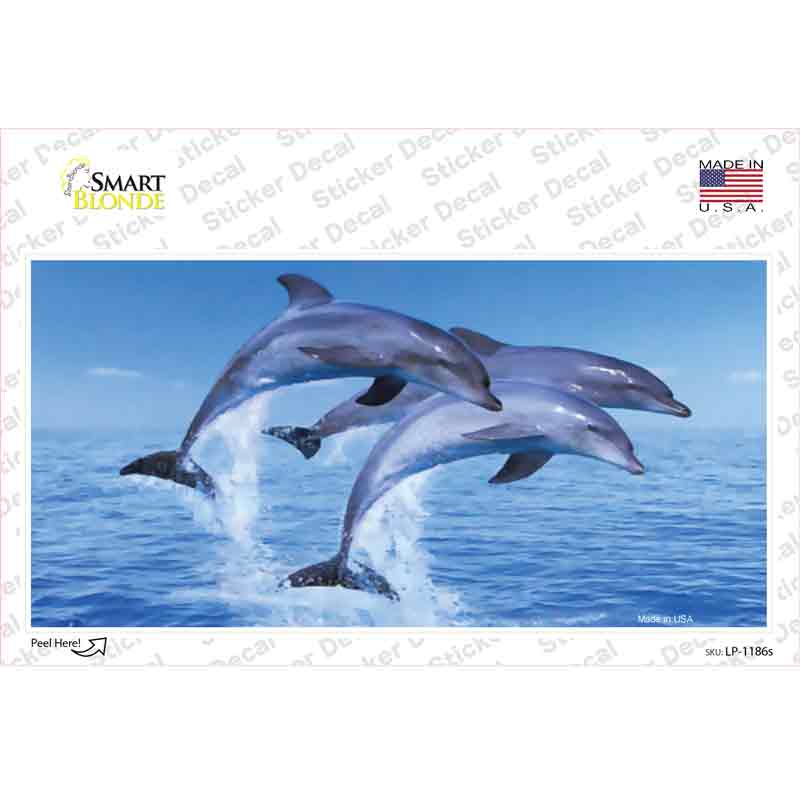 Dolphins Novelty Sticker Decal Small