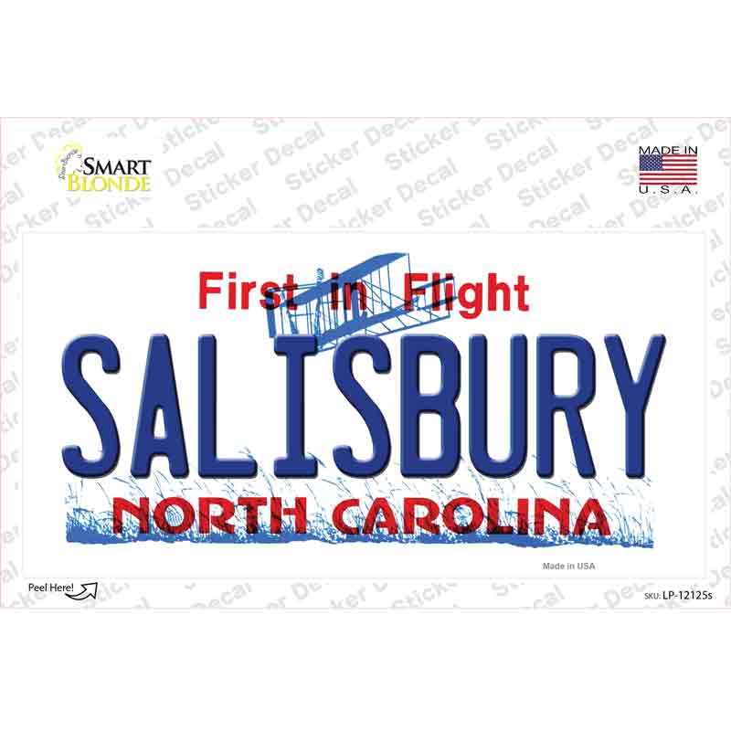 Salisbury North Carolina State Novelty Sticker Decal Small