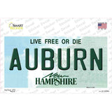 Auburn New Hampshire Novelty Sticker Decal Small