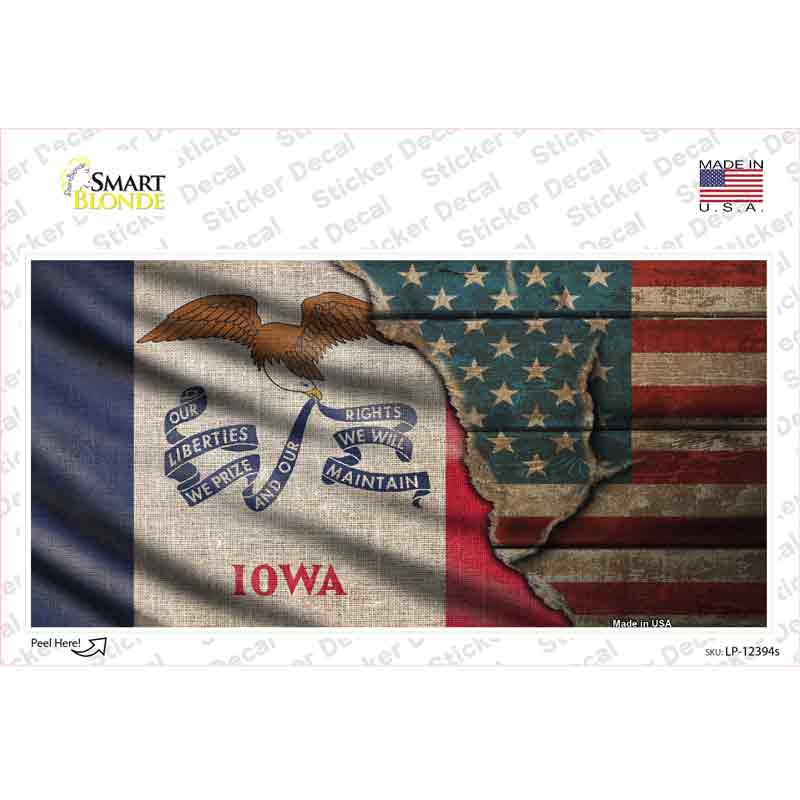 Iowa/American Flag Novelty Sticker Decal Small