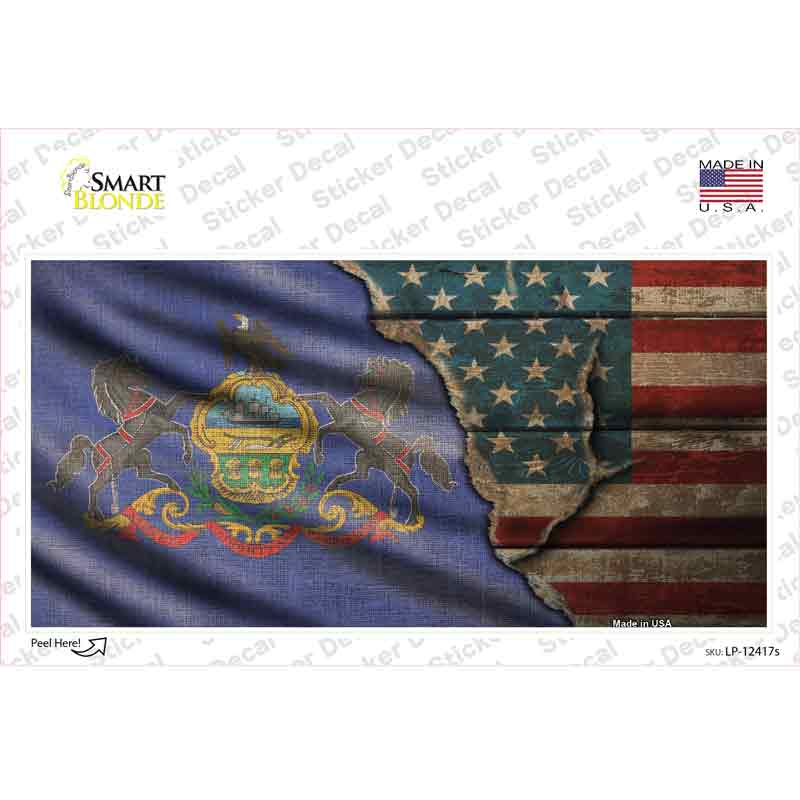 Pennsylvania/American Flag Novelty Sticker Decal