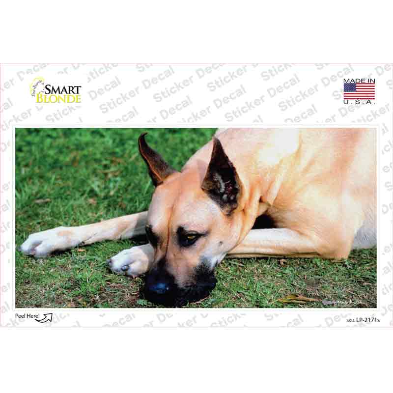 Great Dane Dog Novelty Sticker Decal Small