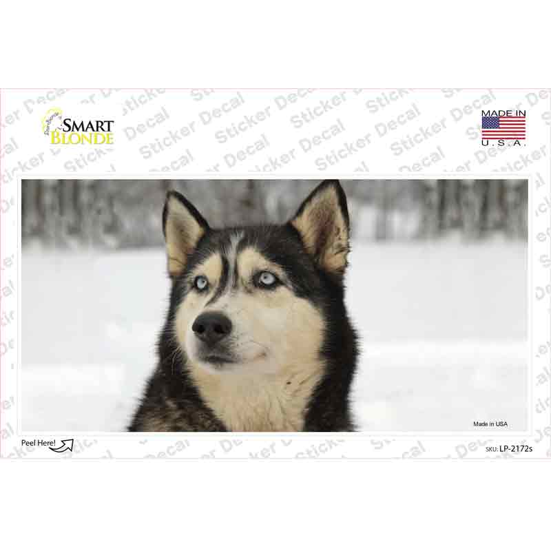 Husky Dog Novelty Sticker Decal