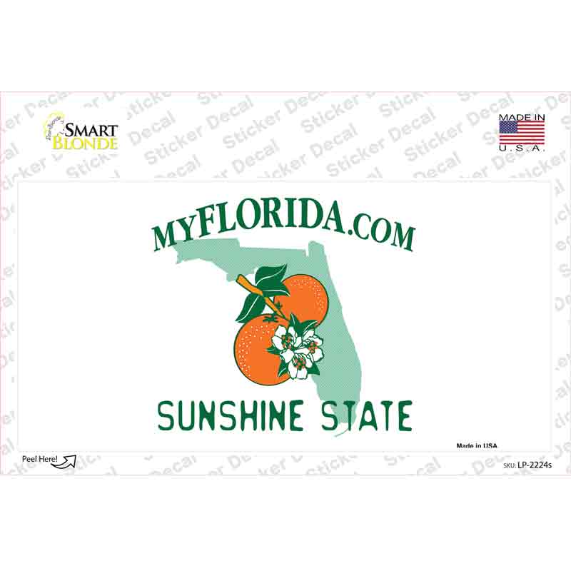 Florida State Blank Novelty Sticker Decal Small