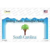 South Carolina State Blank Novelty Sticker Decal Small