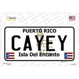 Cayey Puerto Rico Novelty Sticker Decal Small