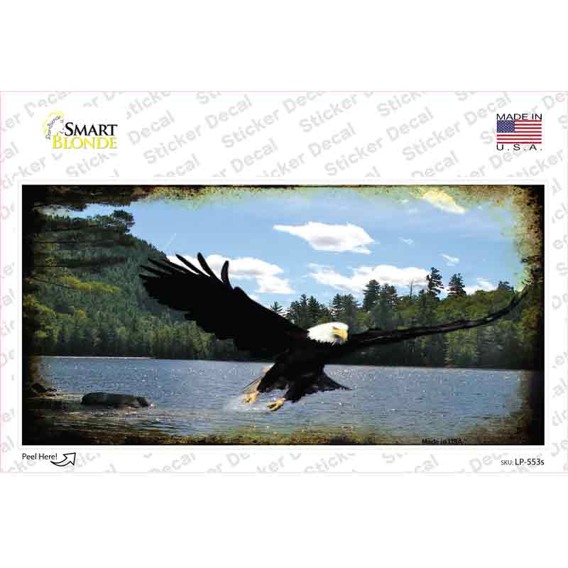 Eagle Over Water Novelty Sticker Decal Small