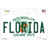 Florida Novelty Sticker Decal Small