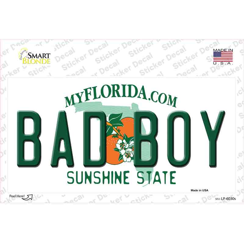 Bad Boy Florida Novelty Sticker Decal Small