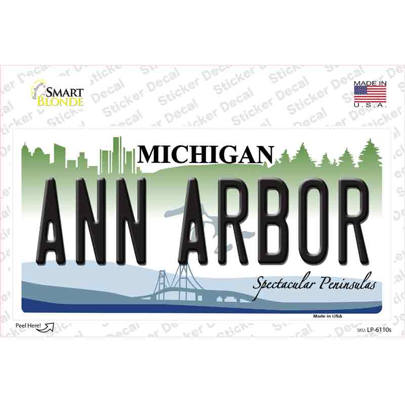 Ann Arbor Michigan Novelty Sticker Decal Small