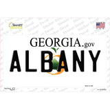 Albany Georgia Novelty Sticker Decal Small