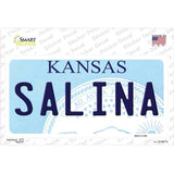 Salina Kansas Novelty Sticker Decal Small