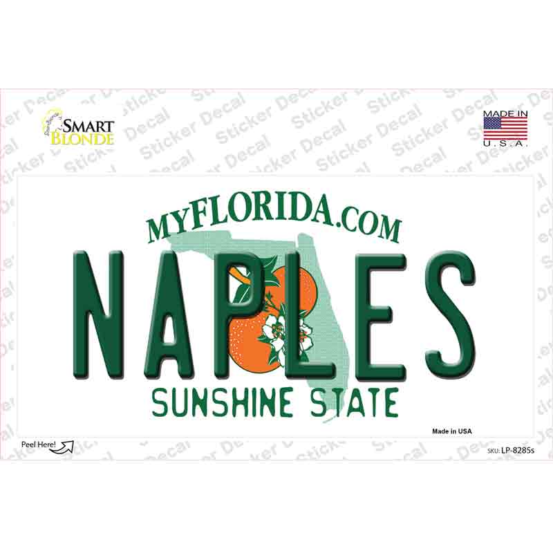 Naples Florida Novelty Sticker Decal Small