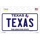 Texas Novelty Sticker Decal Small