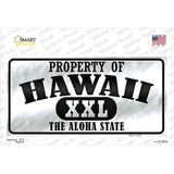 Property Of Hawaii Novelty Sticker Decal Small