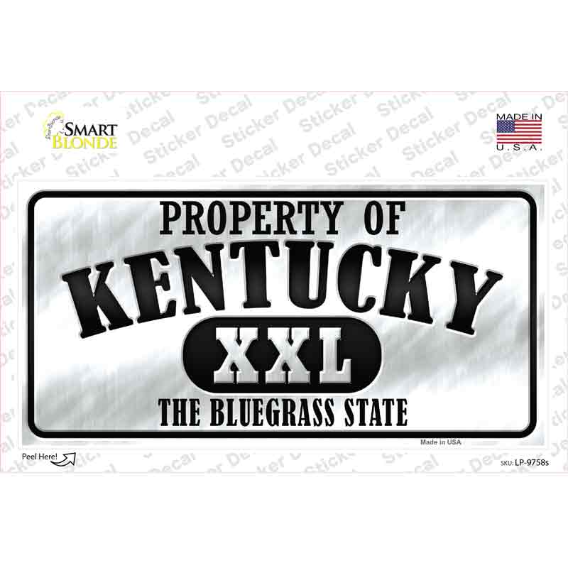 Property Of Kentucky Novelty Sticker Decal Small