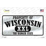 Property Of Wisconsin Novelty Sticker Decal Small