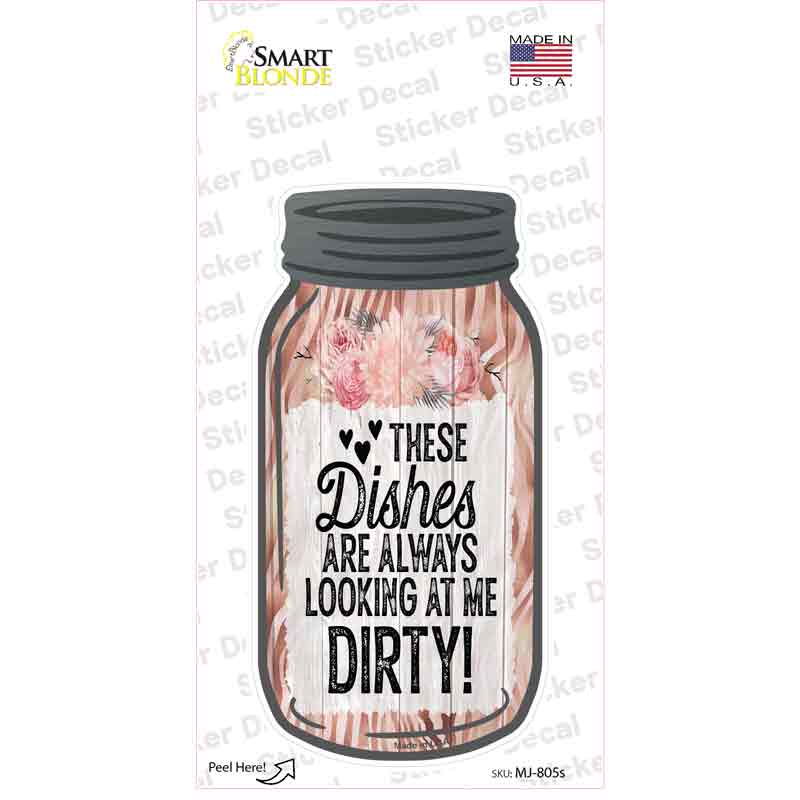 Dishes Looking At Me Dirty Novelty Mason Jar Sticker Decal Small