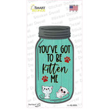Got To Be Kitten Me Mint Novelty Mason Jar Sticker Decal