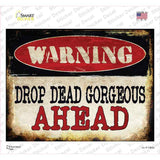 Drop Dead Gorgeous Novelty Rectangle Sticker Decal Small