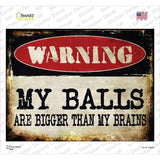 My Balls Novelty Rectangle Sticker Decal Small