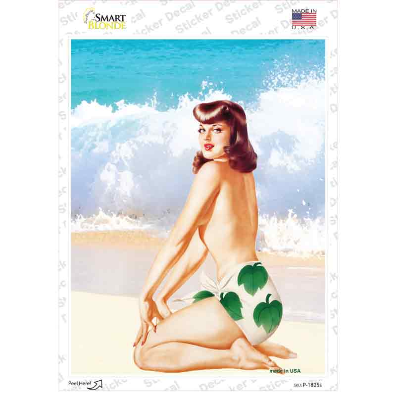 Girl On Beach Vintage Pinup Novelty Rectangle Sticker Decal Small