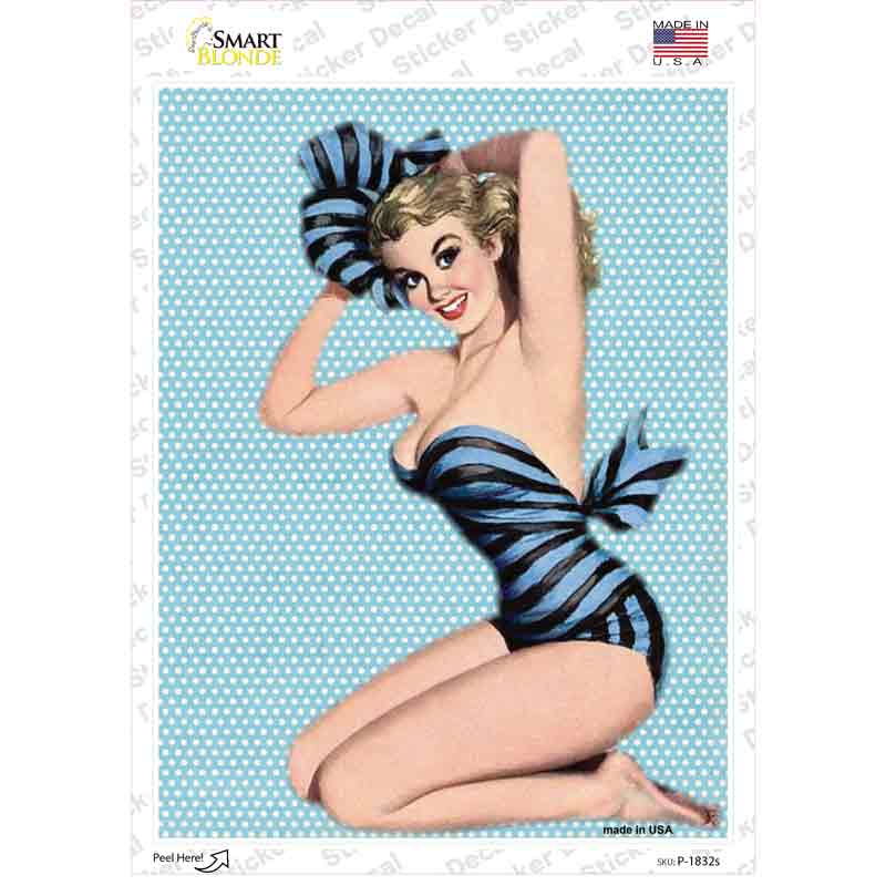 Striped Bathing Suit Girl Vintage Pinup Novelty Rectangle Sticker Decal Small