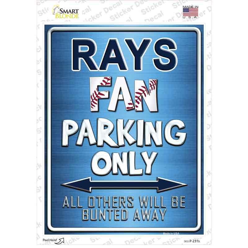 Rays Novelty Rectangle Sticker Decal Small