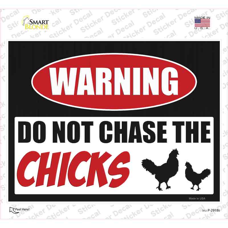 Do Not Chase The Chicks Novelty Rectangle Sticker Decal Small