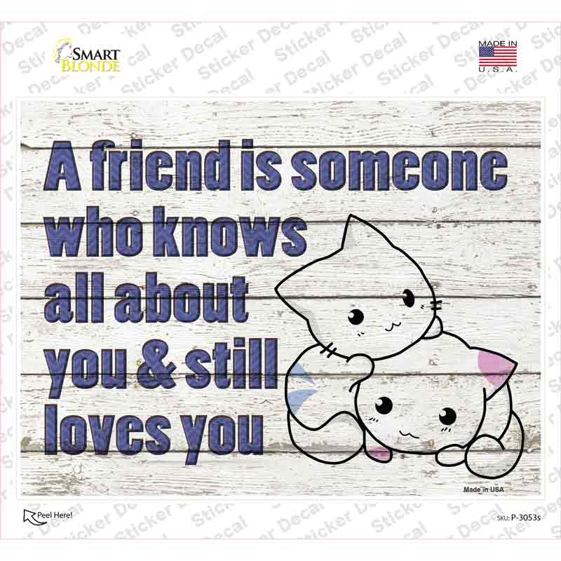 Knows All About You Novelty Rectangle Sticker Decal