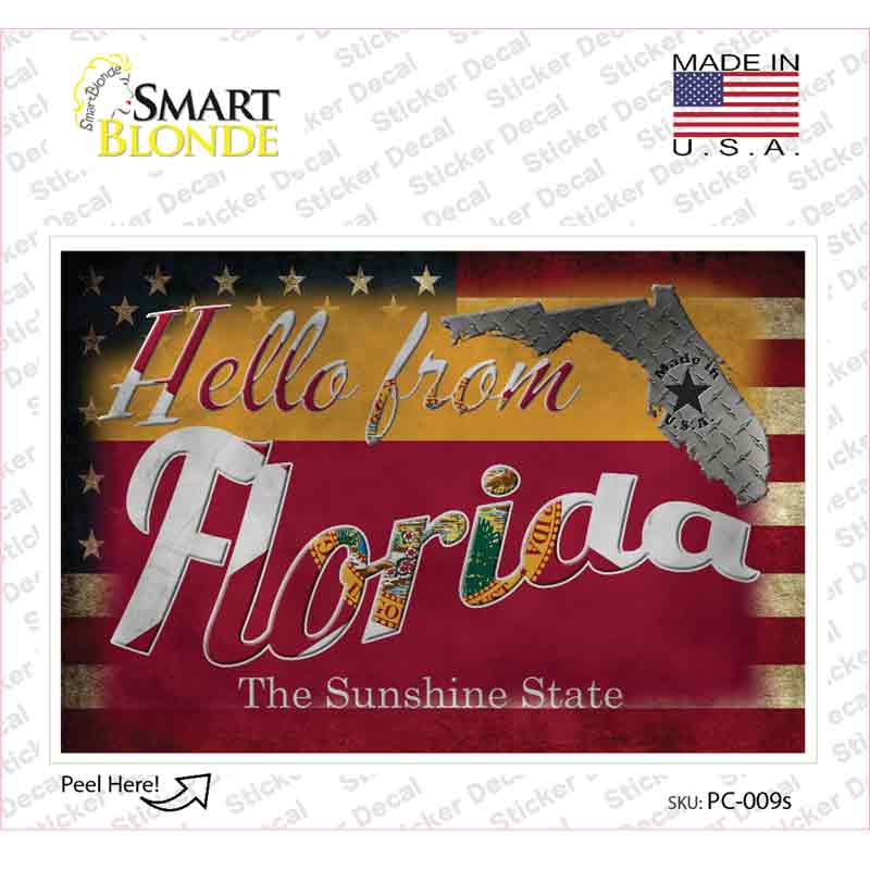 Hello From Florida Novelty Postcard Sticker Decals Small