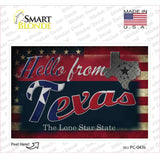 Hello From Texas Novelty Postcard Sticker Decals Small