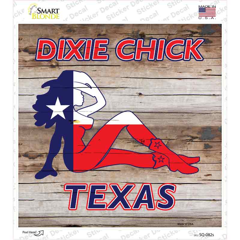 Dixie Chicks Texas Novelty Square Sticker Decal Small