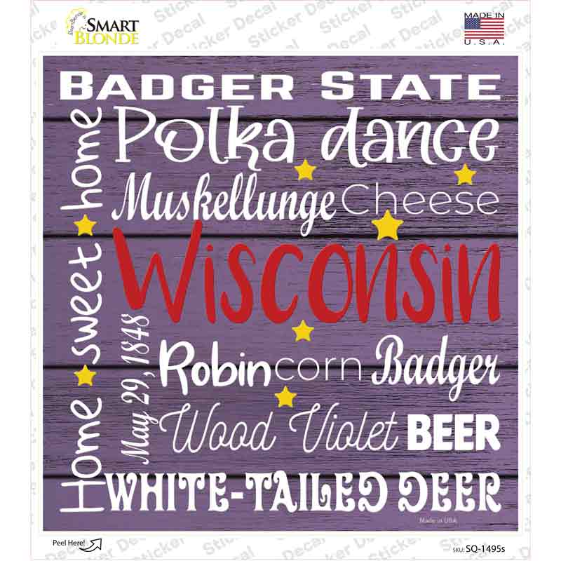 Wisconsin Motto Novelty Square Sticker Decal